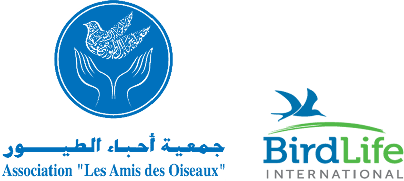 logo-AAO_BLI